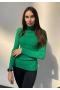 Гольф трикотажный 47102-green